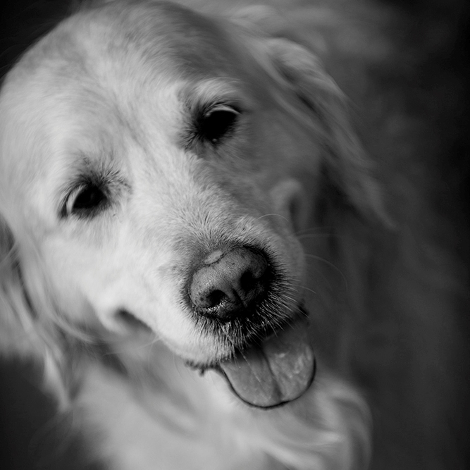 _DSC9448